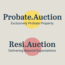 Probate.Auction & Resi.Auction - London logo