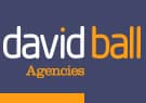 David Ball Agencies - Newquay logo